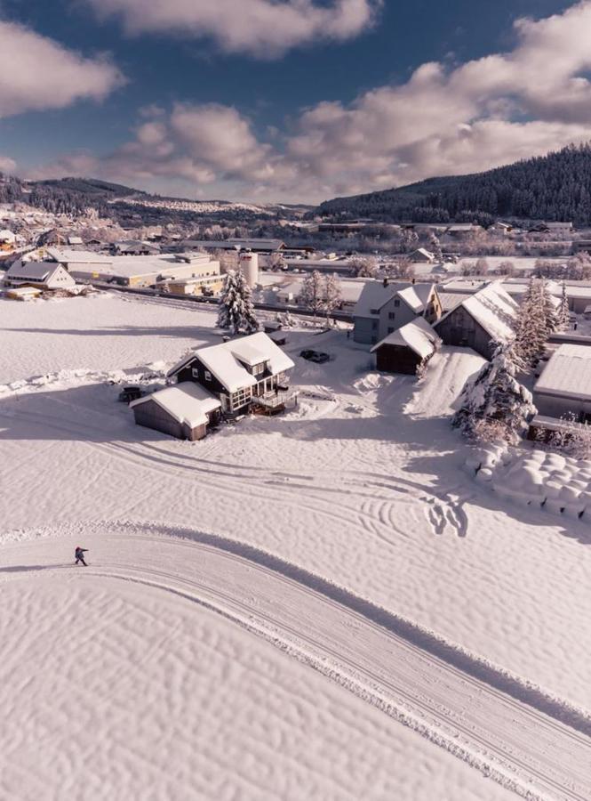 Casa D'Antino Daire Titisee-Neustadt Dış mekan fotoğraf